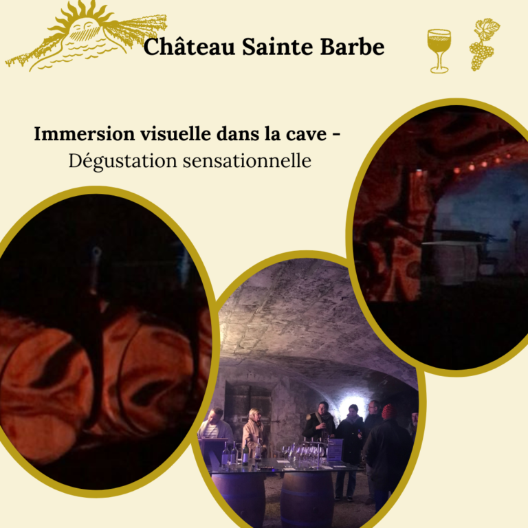 Château Sainte Barbe (13)